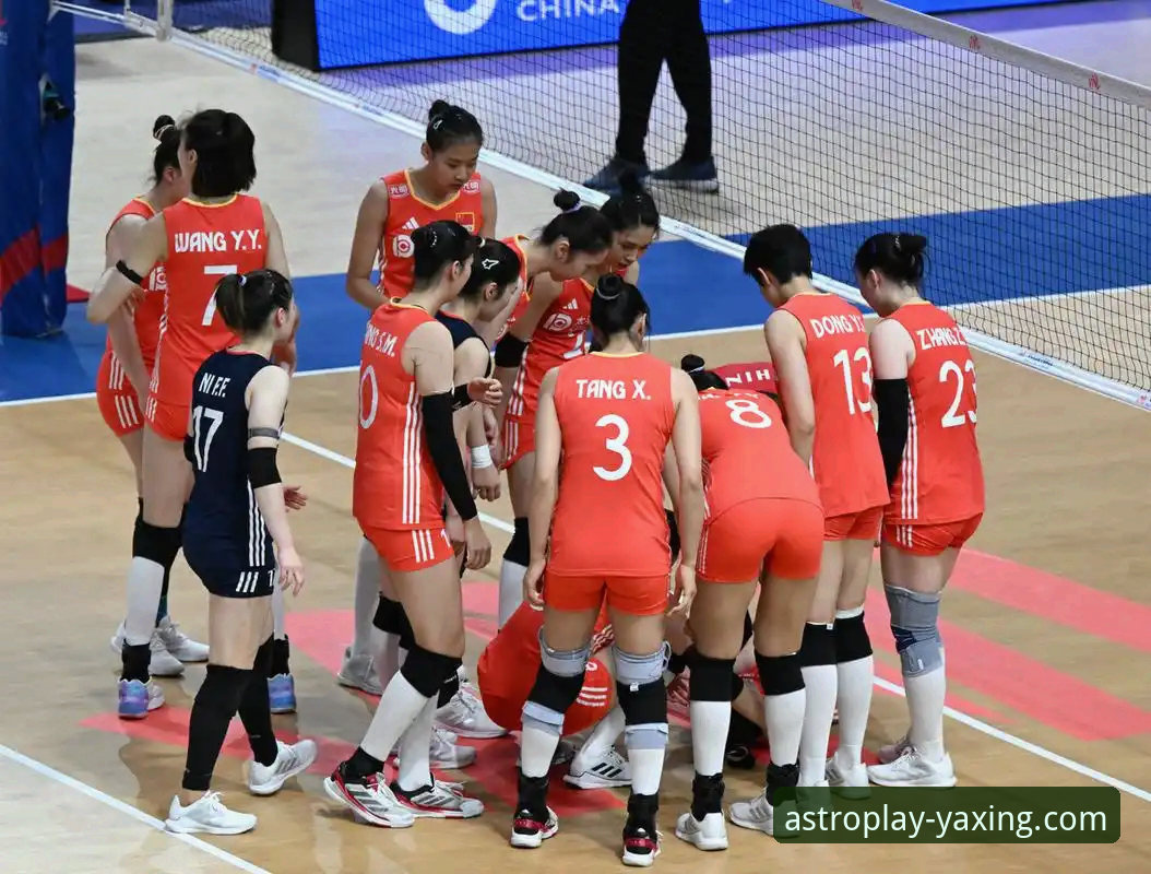 资深用户分享：从上海队12连胜看团队协作的“安全通道”